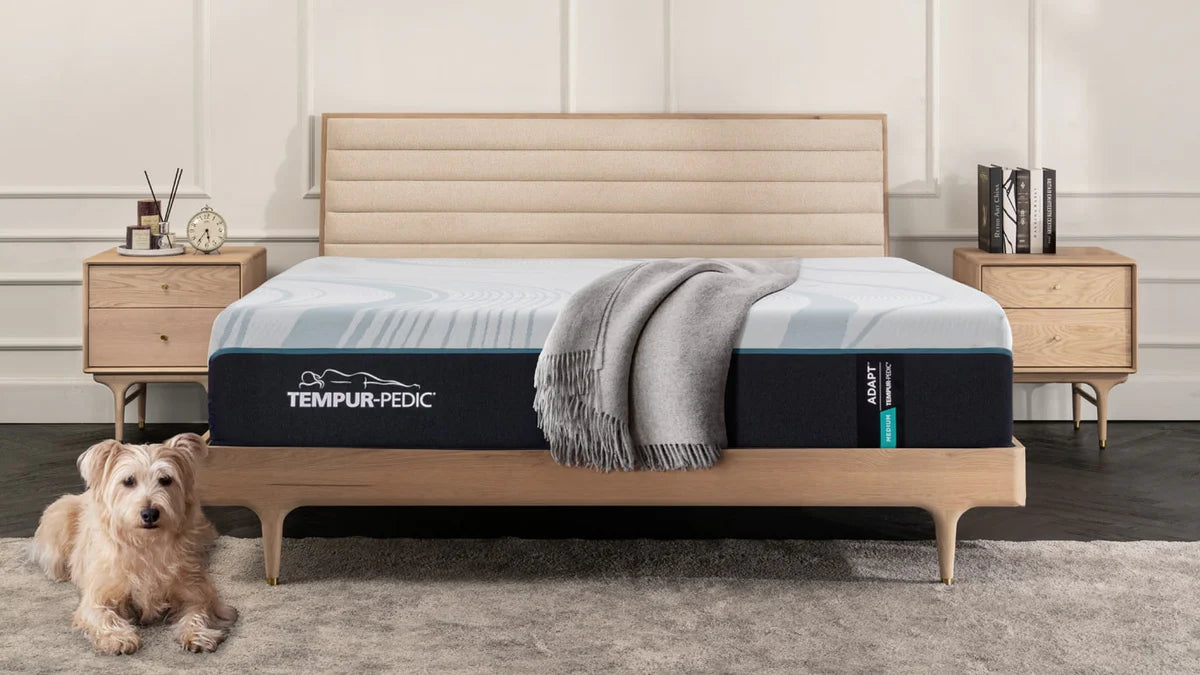 Bedroom Essentials & Inspiration