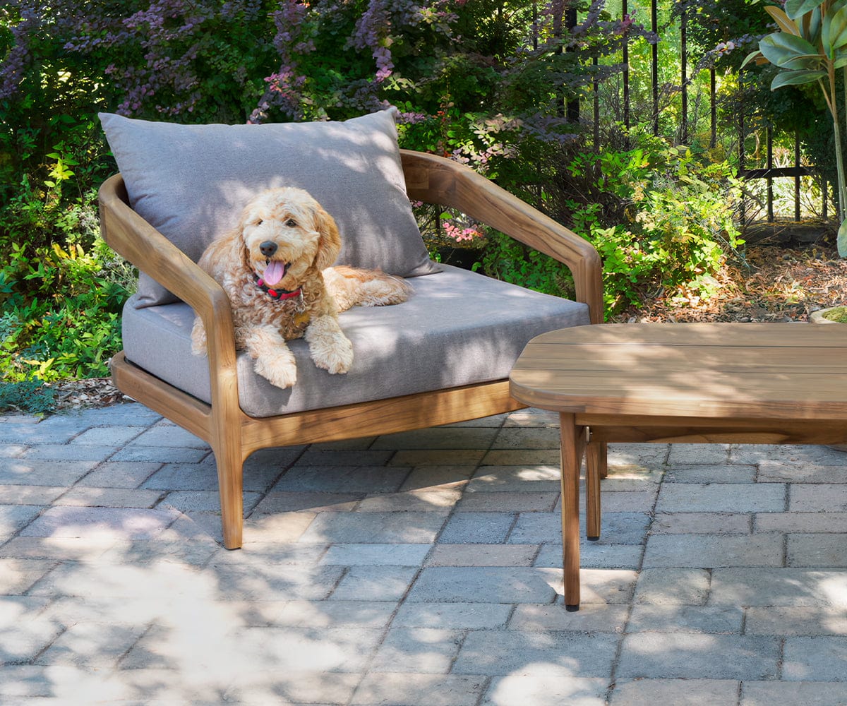 Amar Teak Lounge Chair