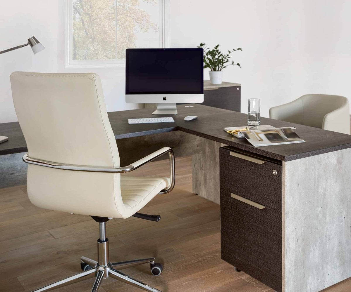 Alva 63" Desk