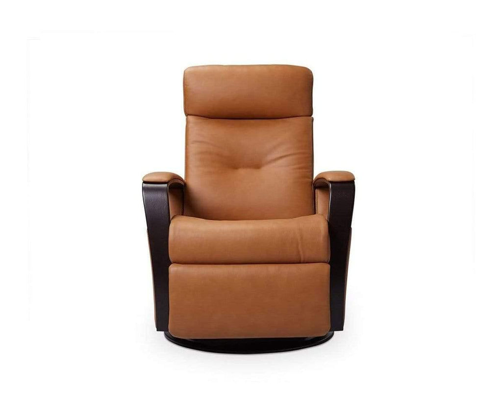 Hanish leather power shop recliner