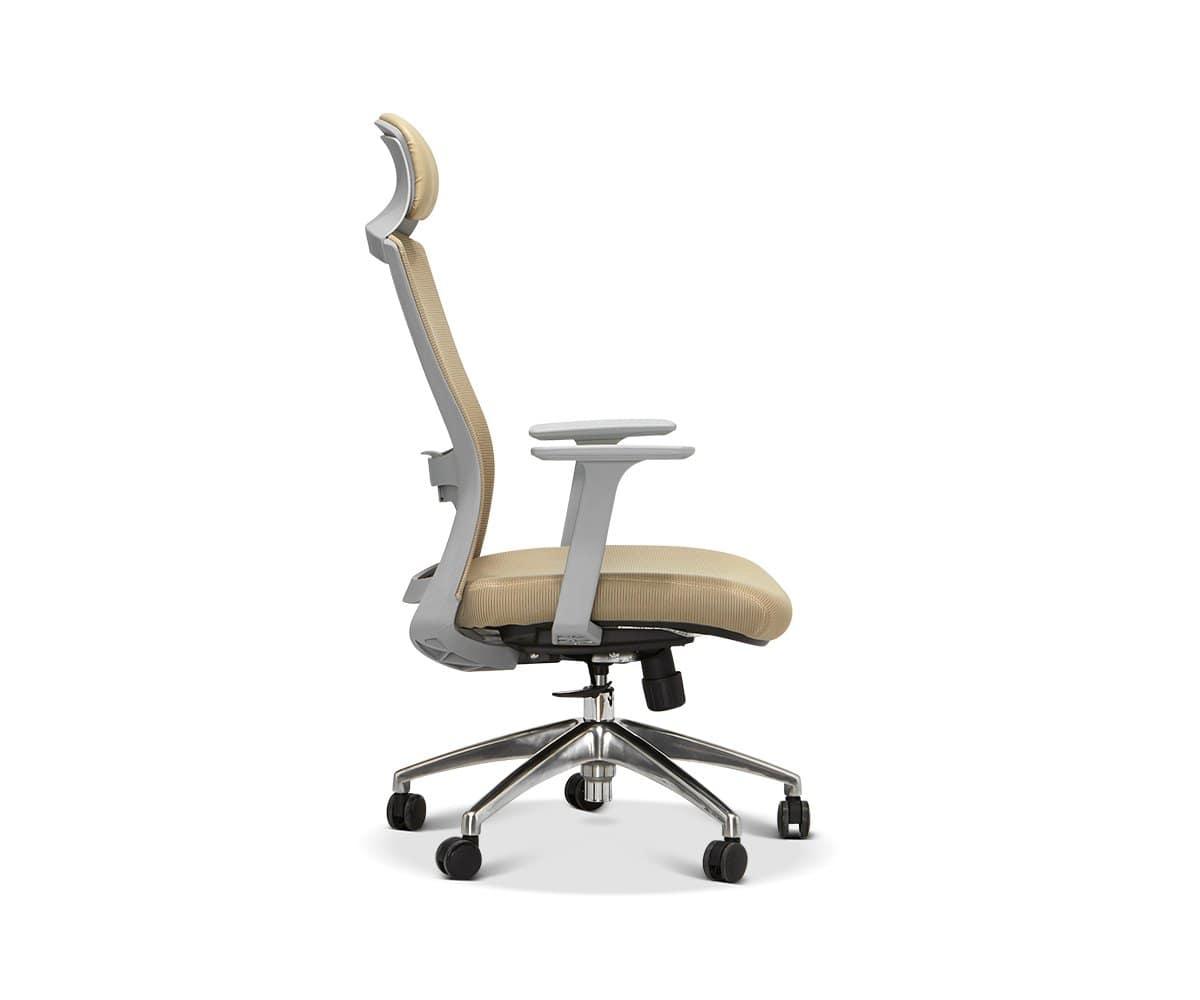 Shrike Ergonomic Chair - Black - Delivered in 3-5 Business Days