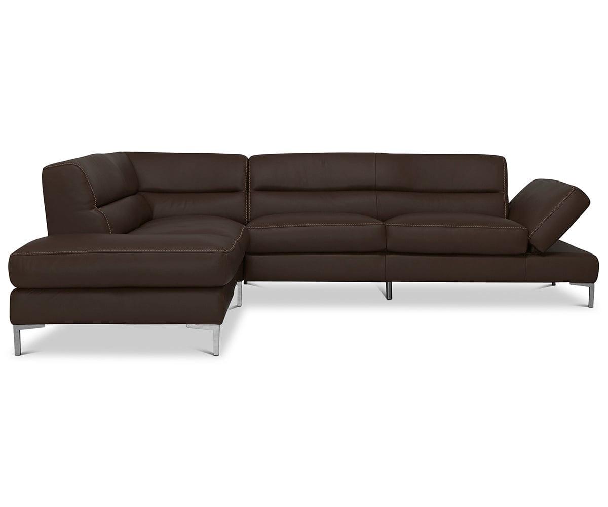 Campsis Collection